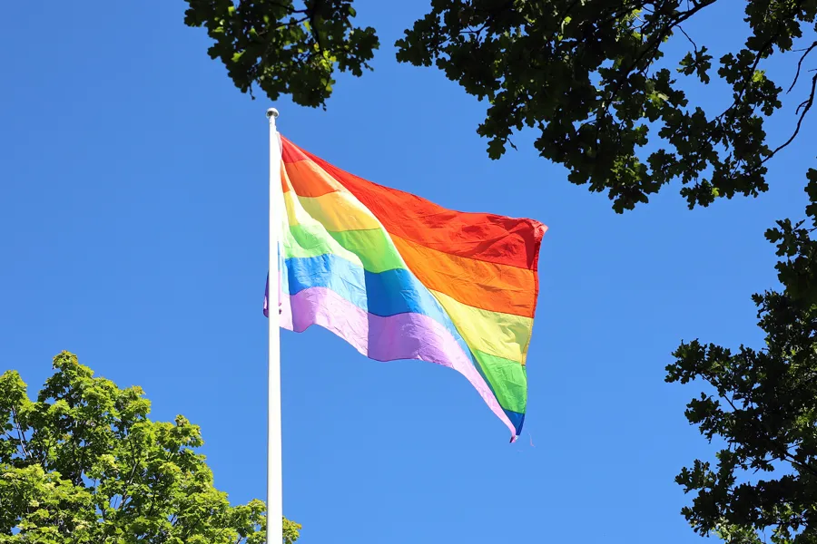 Et flagg som vaier i luften