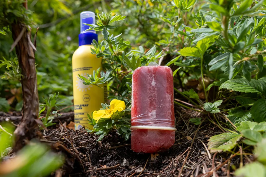 En flaske alkohol i skogen