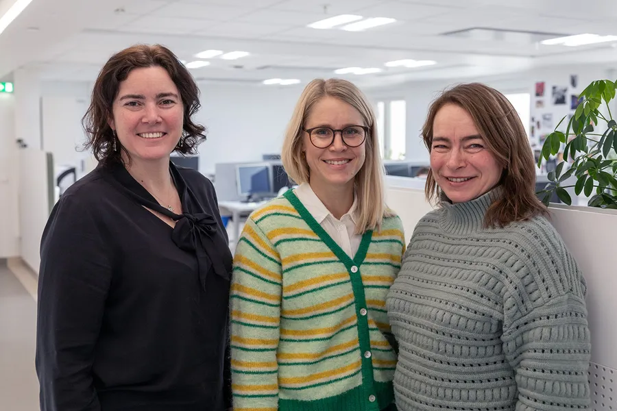 En gruppe kvinner som smiler