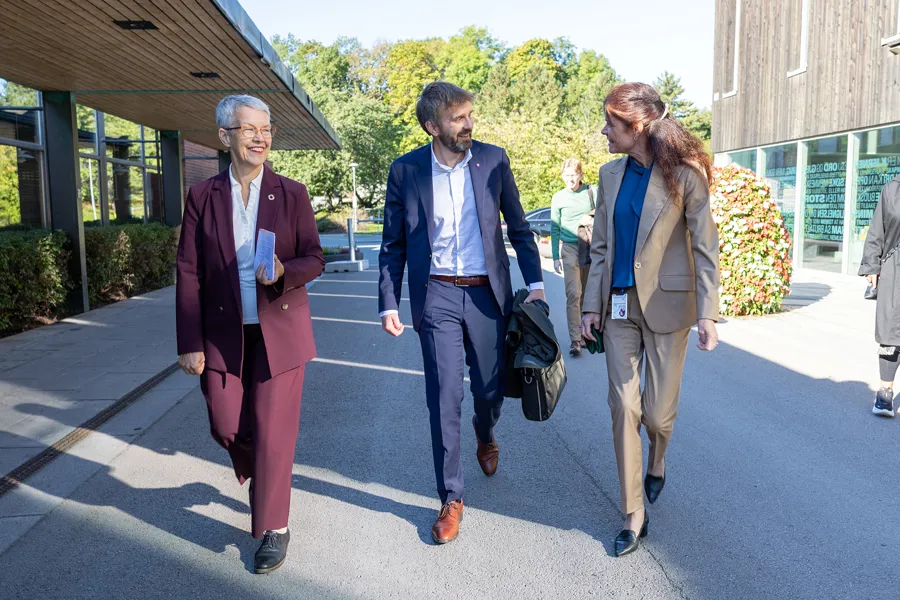 En gruppe mennesker som går nedover en gate