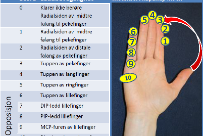Tabell over leddbevegelighet